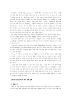 [국제경영사례] 오리온 `초코파이`의 중국진출사례-11