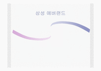 [경영전략] 삼성 에버랜드 기업사례-1
