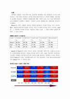 [광고론] LG싸이언 뉴브랜드광고전략-2