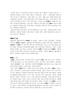 [광고론] LG싸이언 뉴브랜드광고전략-5