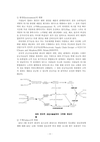 [생산관리] 기업의 ERP도입 사례-8