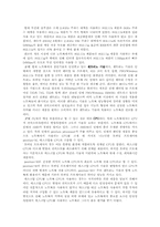 [국제경영전략] LG전자 XNOTE 사례조사-8