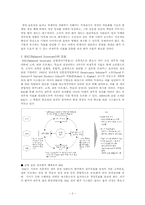 [경영정보론] BSC의 성공적인 도입을 위한 과제-2