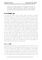 [국제경영] 보성인터내셔날의 브랜드 해외진출-8