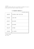 [국제경영사례분석] 현대아산의 개성공단 진출사례-8