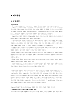 [국제경영사례분석] 휴맥스 국제경영사례-4