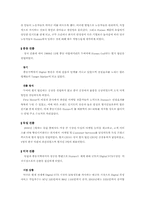 [국제경영사례분석] 휴맥스 국제경영사례-11