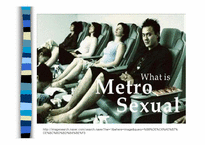 메트로섹슈얼(Metrosexual)-2
