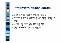 메트로섹슈얼(Metrosexual)-3