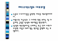 메트로섹슈얼(Metrosexual)-5