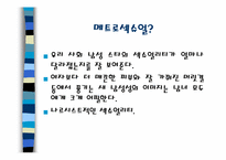 메트로섹슈얼(Metrosexual)-12