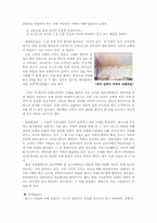 중국의 황사현상에 대해서-2