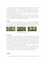 [서양문명역사] 고대 스파르타의 정치, 경제, 사회 문화-5
