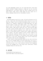 [대학입시문제] 수능을 중점으로 본 현 대학입시의 문제점과 개선방향-8