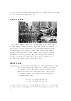 [교육심리] 미디어가 아동에게 끼치는 영향력-3