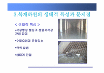 [환경학] 친환경, 생태복원적 하천정비-복개하천 정비-5