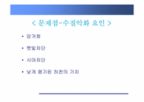 [환경학] 친환경, 생태복원적 하천정비-복개하천 정비-6