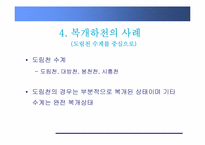 [환경학] 친환경, 생태복원적 하천정비-복개하천 정비-7