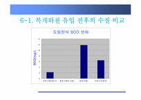 [환경학] 친환경, 생태복원적 하천정비-복개하천 정비-10