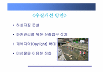 [환경학] 친환경, 생태복원적 하천정비-복개하천 정비-14