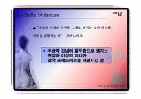 [프랑스사실주의소설] La Belle Noiseuse 와 Le Chef-d’oeuvre inconnu 의 비교-13