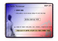 [프랑스사실주의소설] La Belle Noiseuse 와 Le Chef-d’oeuvre inconnu 의 비교-19