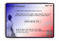 [프랑스사실주의소설] La Belle Noiseuse 와 Le Chef-d’oeuvre inconnu 의 비교-20