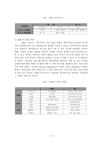 [디지털미디어] 유비쿼터스 미디어 환경 속에서의 DMC-12