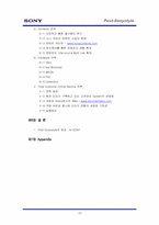 [마케팅] `소니스타일` 디지털 매체 통한 인지도 증대 전략-3