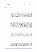 [마케팅] `소니스타일` 디지털 매체 통한 인지도 증대 전략-4