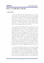 [마케팅] `소니스타일` 디지털 매체 통한 인지도 증대 전략-9