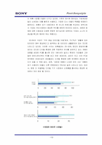 [마케팅] `소니스타일` 디지털 매체 통한 인지도 증대 전략-13