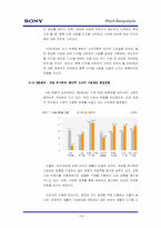 [마케팅] `소니스타일` 디지털 매체 통한 인지도 증대 전략-15