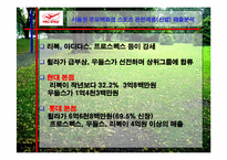 [광고기획안] `프로스펙스`판매촉진전략-6