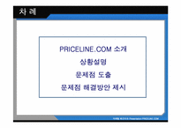[인터넷마케팅] PRICELINE.COM에 대한 사례연구-2