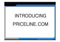 [인터넷마케팅] PRICELINE.COM에 대한 사례연구-3