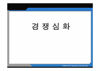 [인터넷마케팅] PRICELINE.COM에 대한 사례연구-9
