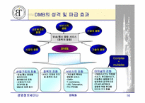 [경영정보] DMB에 대해서-16