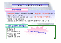 [소비자행동] 하위문화와 사회집단-4