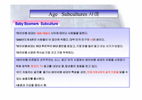 [소비자행동] 하위문화와 사회집단-14