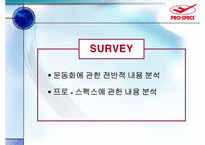 [마케팅조사] 프로스펙스 조사-8