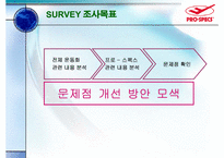 [마케팅조사] 프로스펙스 조사-10