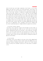 [국제경영사례분석] 캐릭터완구기업 오로라월드의 해외진출-12