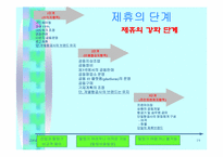 [경영전략론] 항공사에 있어 제휴의 의미와 의의-19