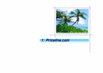[인터넷마케팅] Price.com 프라이스라인 분석-3