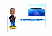 [인터넷마케팅] Price.com 프라이스라인 분석-15