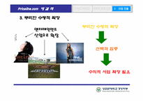 [인터넷마케팅] Price.com 프라이스라인 분석-19