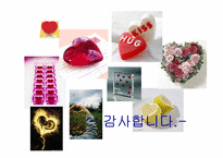 [인터넷마케팅] Price.com 프라이스라인 분석-20