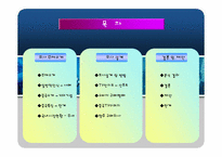 [마케팅조사] 중국TV한국진출을 위한 소비자구매태도 및 인식조사-2