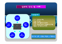 [마케팅조사] 중국TV한국진출을 위한 소비자구매태도 및 인식조사-4